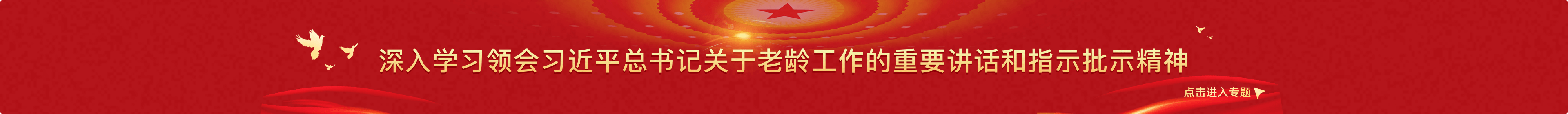 深入学习领会习近平总书记关于老龄工作的重要讲话和指示精神